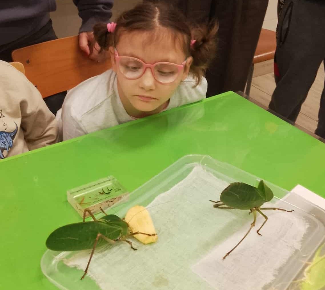 Owadzie laboratorium